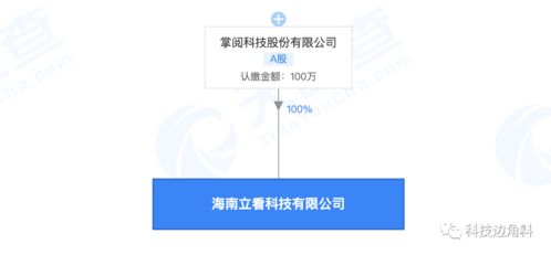 掌閱科技海南新設子公司 布局科技中介服務，注冊資本100萬元